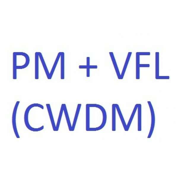EXFO VPM2X-CWDM - опция измерителя мощности CWDM, GeX (от 27 до -50 дБм, 1270-1625 нм) и VFL